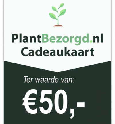 Cadeaukaart €50,00