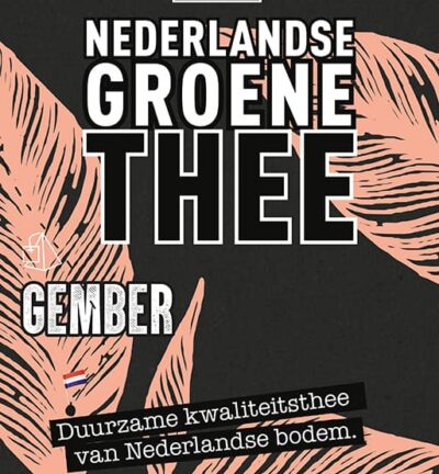LocalTea - Nederlandse groene thee gember (10 piramidezakjes)